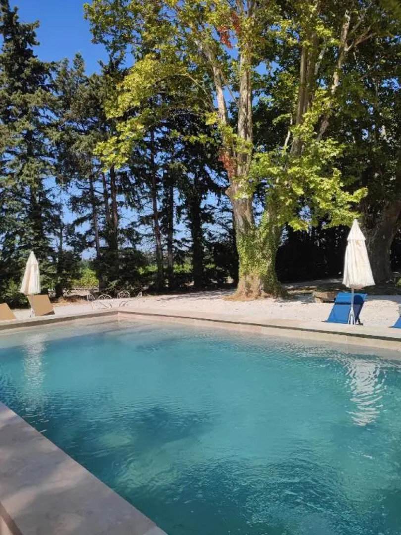 La tanière du grand singe