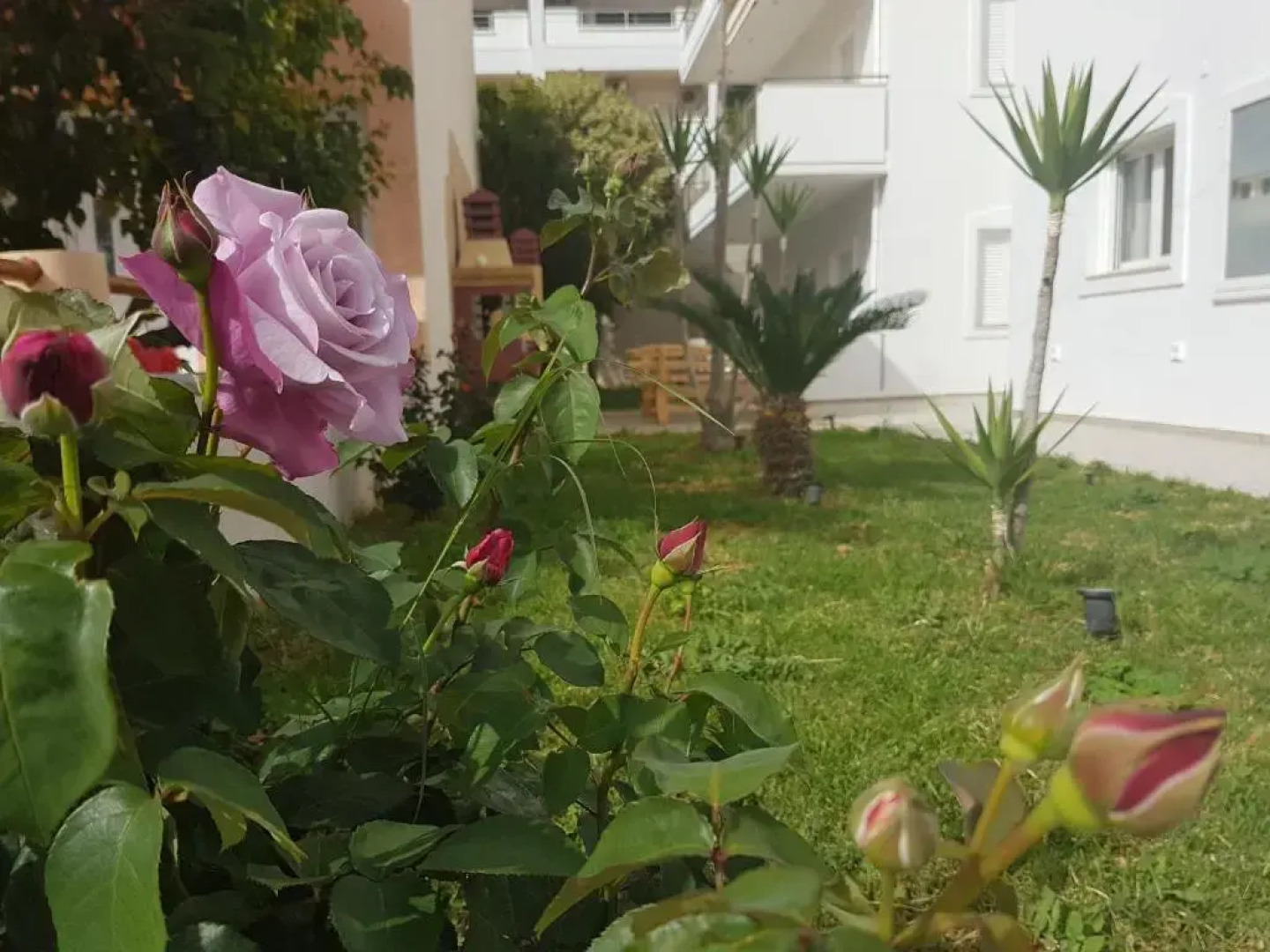 Vakakis Me Apartments