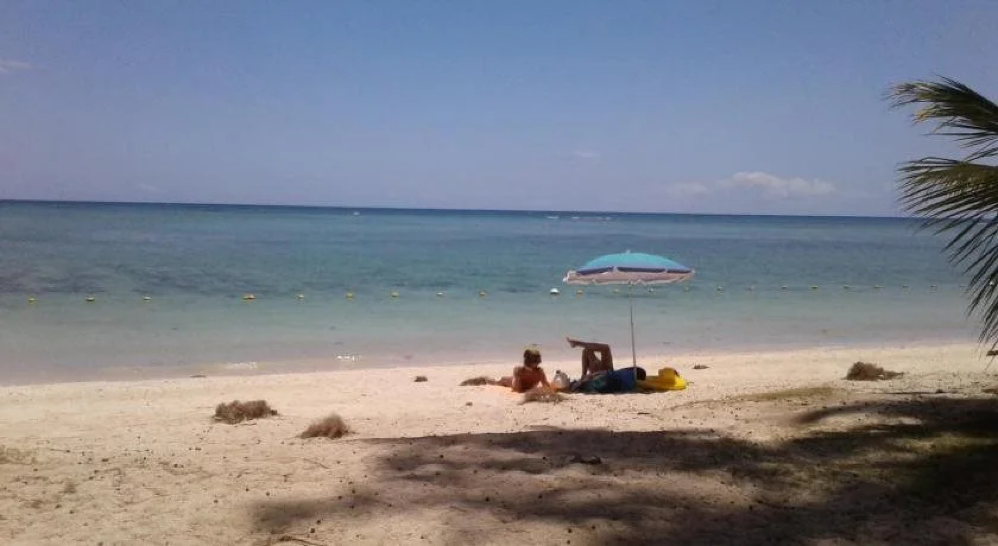 Residence Dream Lodge