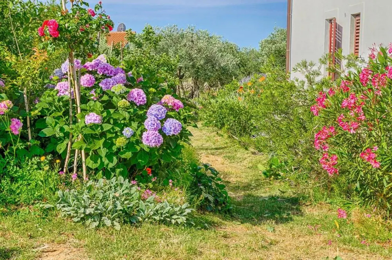 AMALIA APARTMENTS FAŽANA-Amazing sea view-Vodnjanska cesta 55,FAŽANA