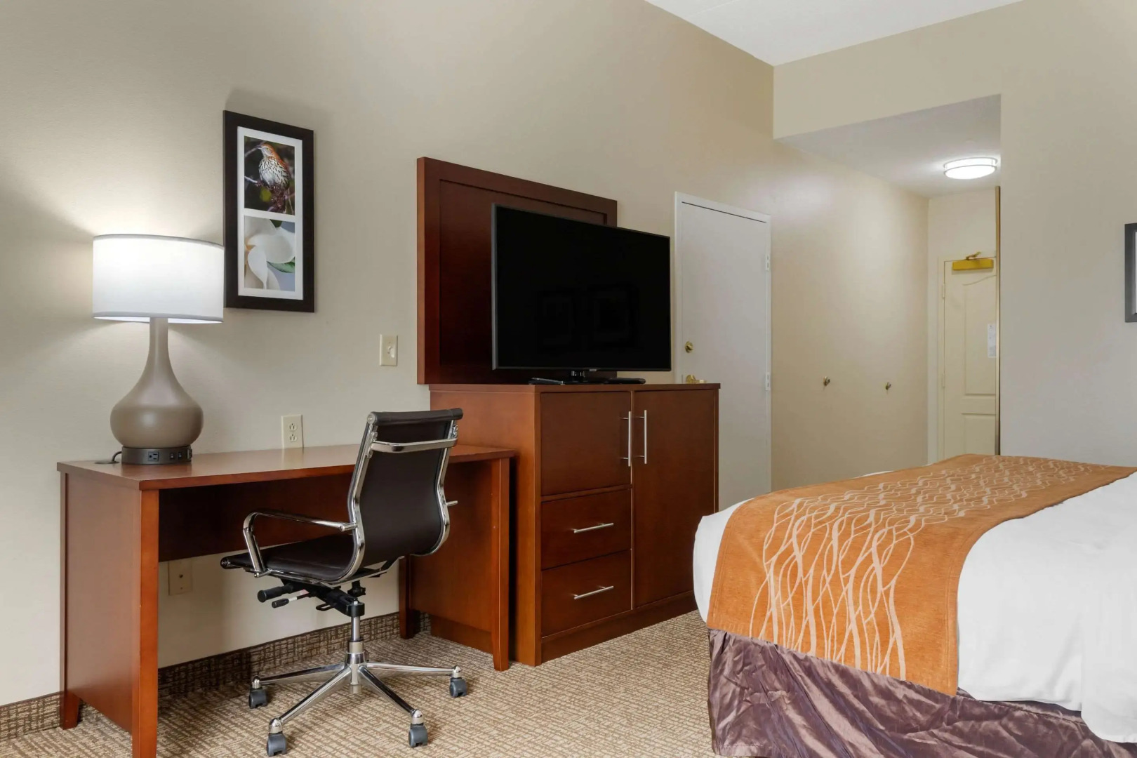 Comfort Inn & Suites Cordele