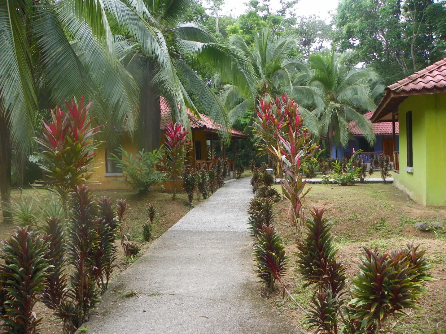 Pizote Lodge