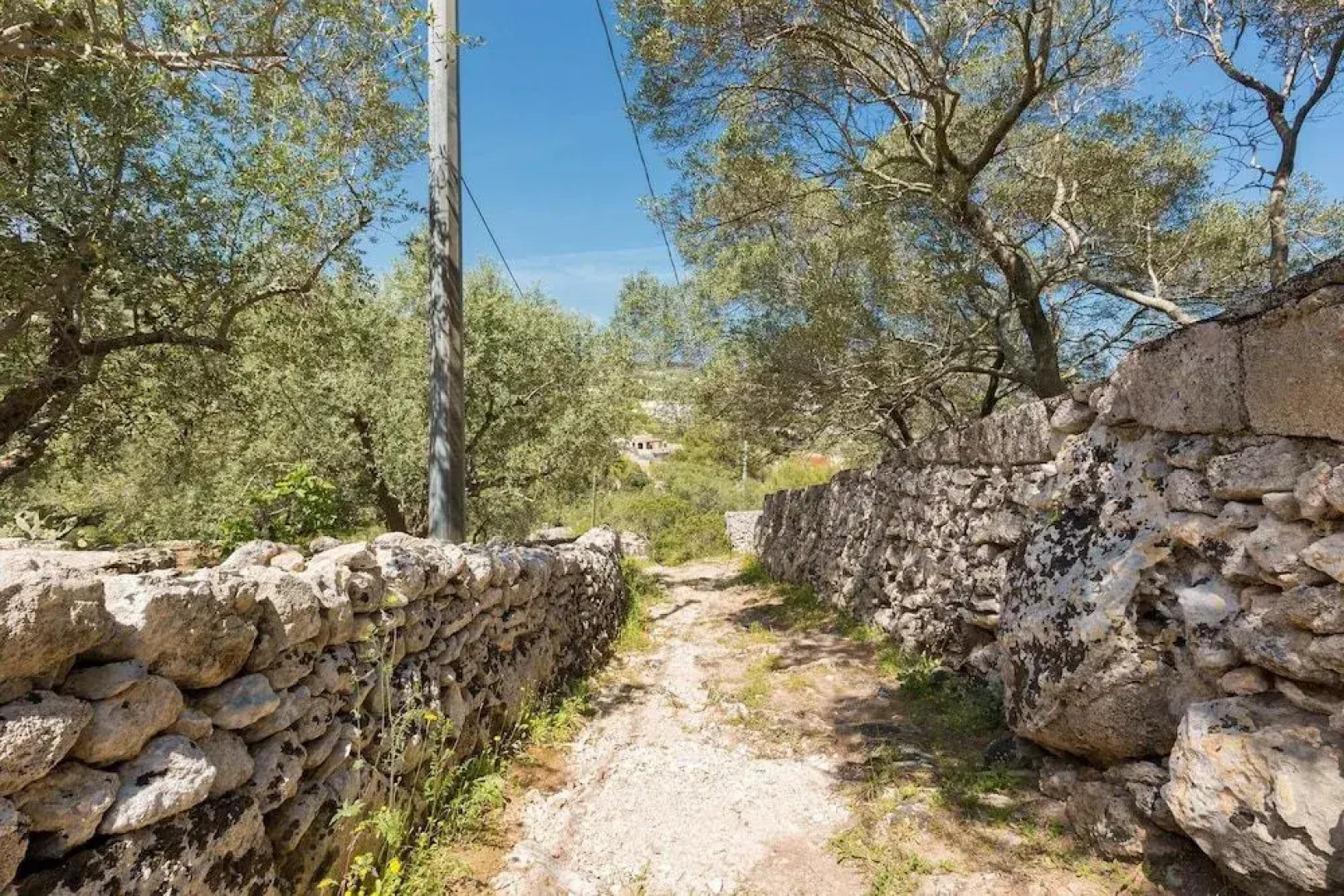 Il Giardino delle Cipolliane