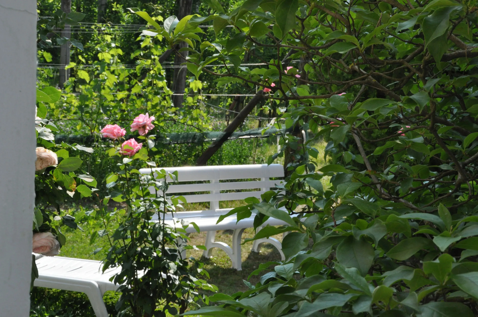 Weingarten Terlan - Rooms & Breakfast