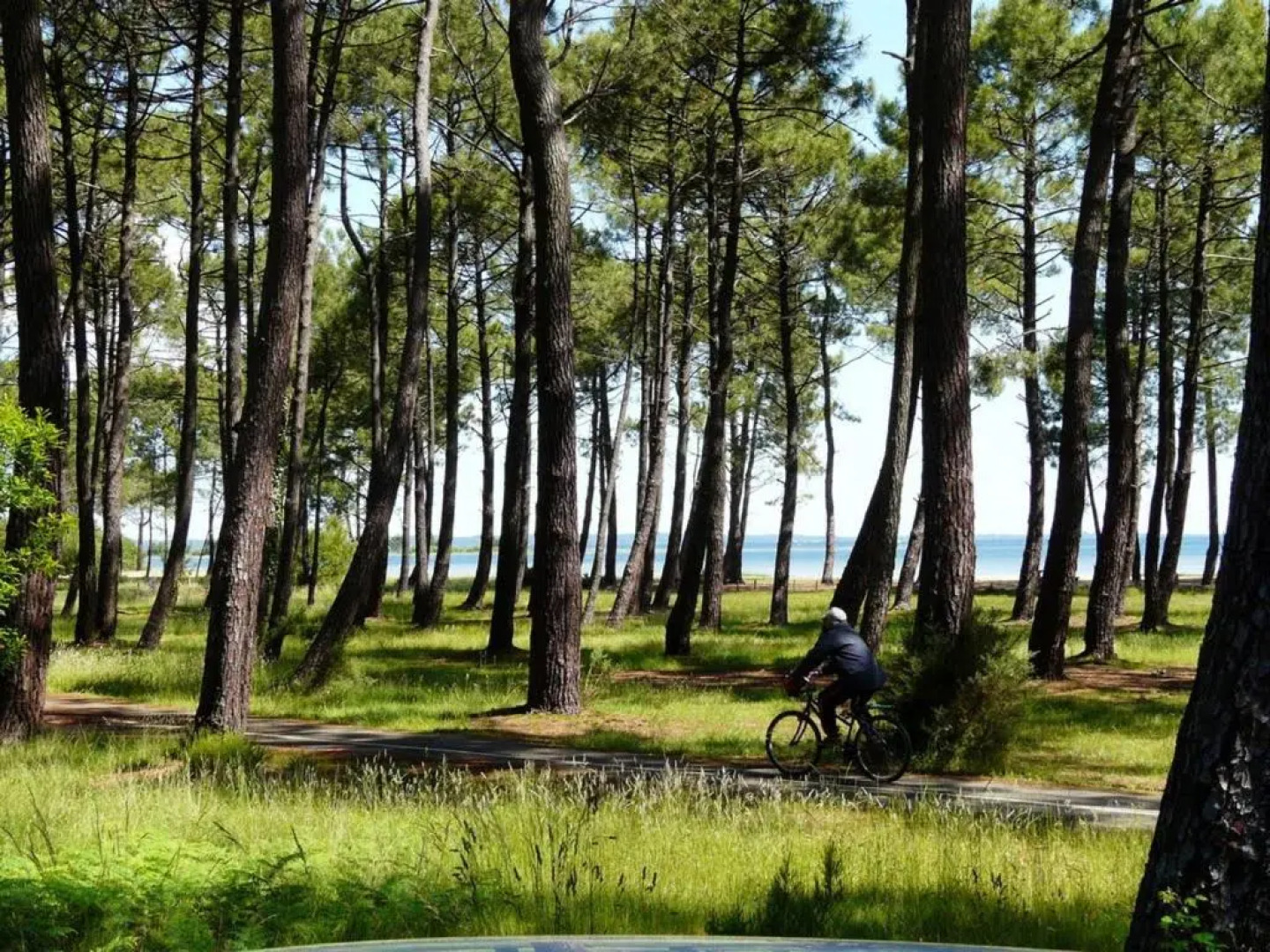 Maison Parentis-en-Born, 4 pièces, 6 personnes - FR-1-319-426