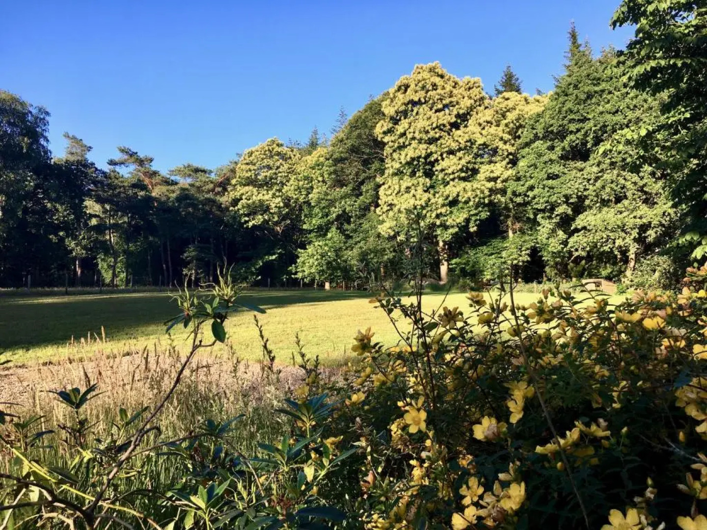 B&B Boshuis Darthuizerpoort