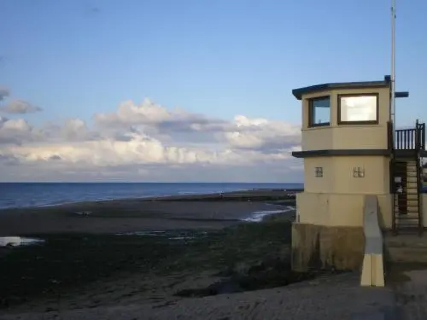 Aux Fleurs D'anemone