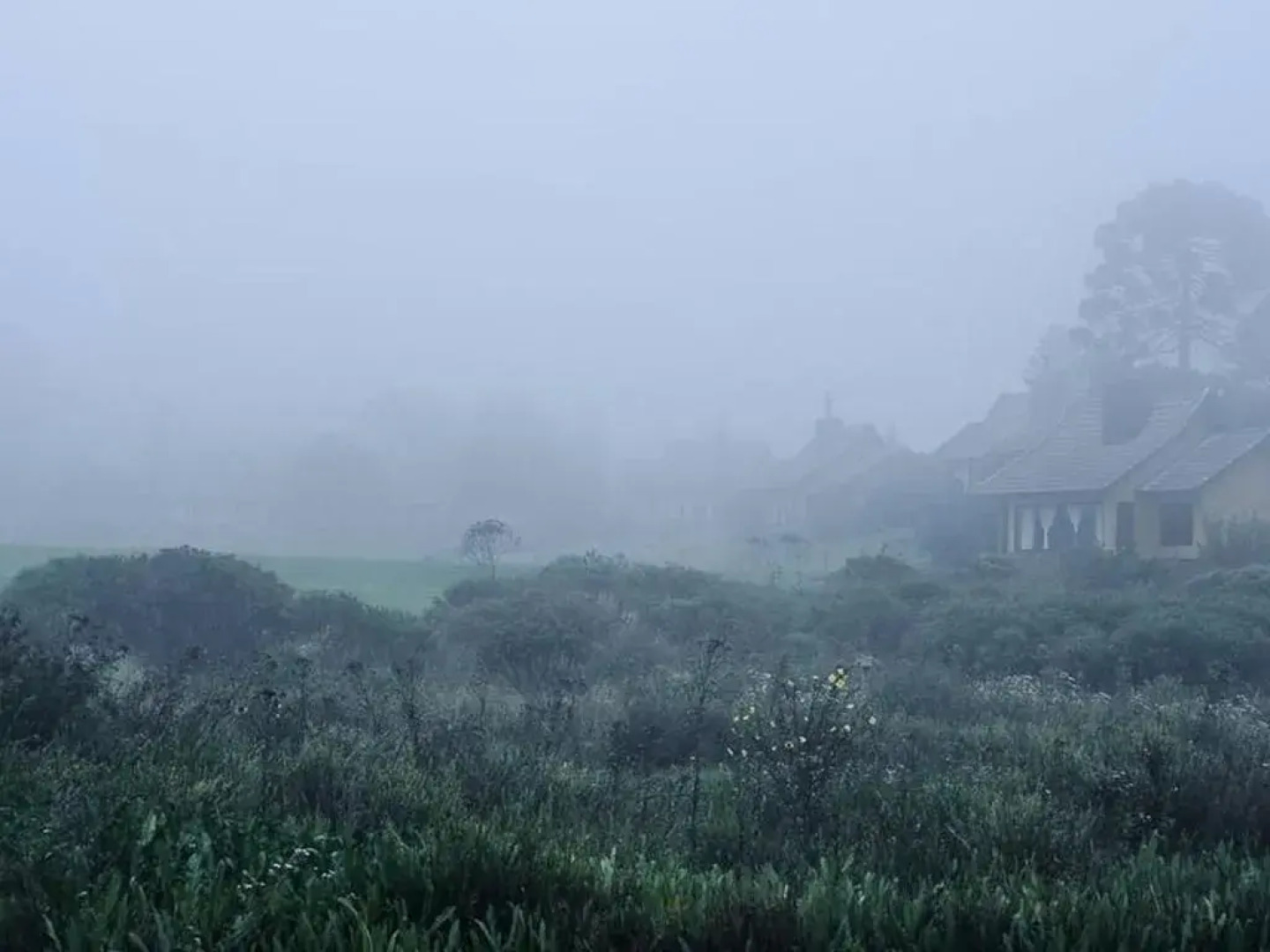 Rio do Rastro Eco Resort