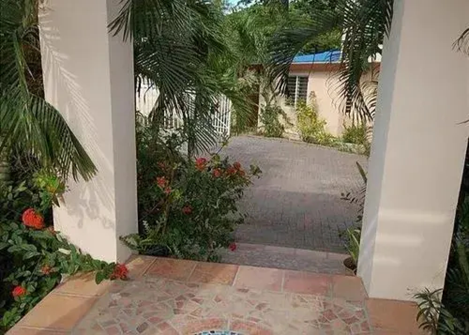 Coral Breeze by RedAwning