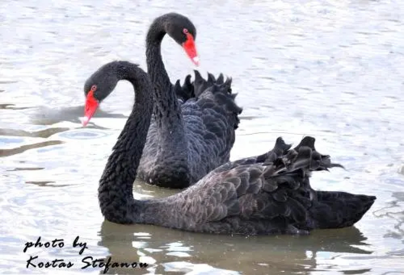 Bella Toumpa Archontiko