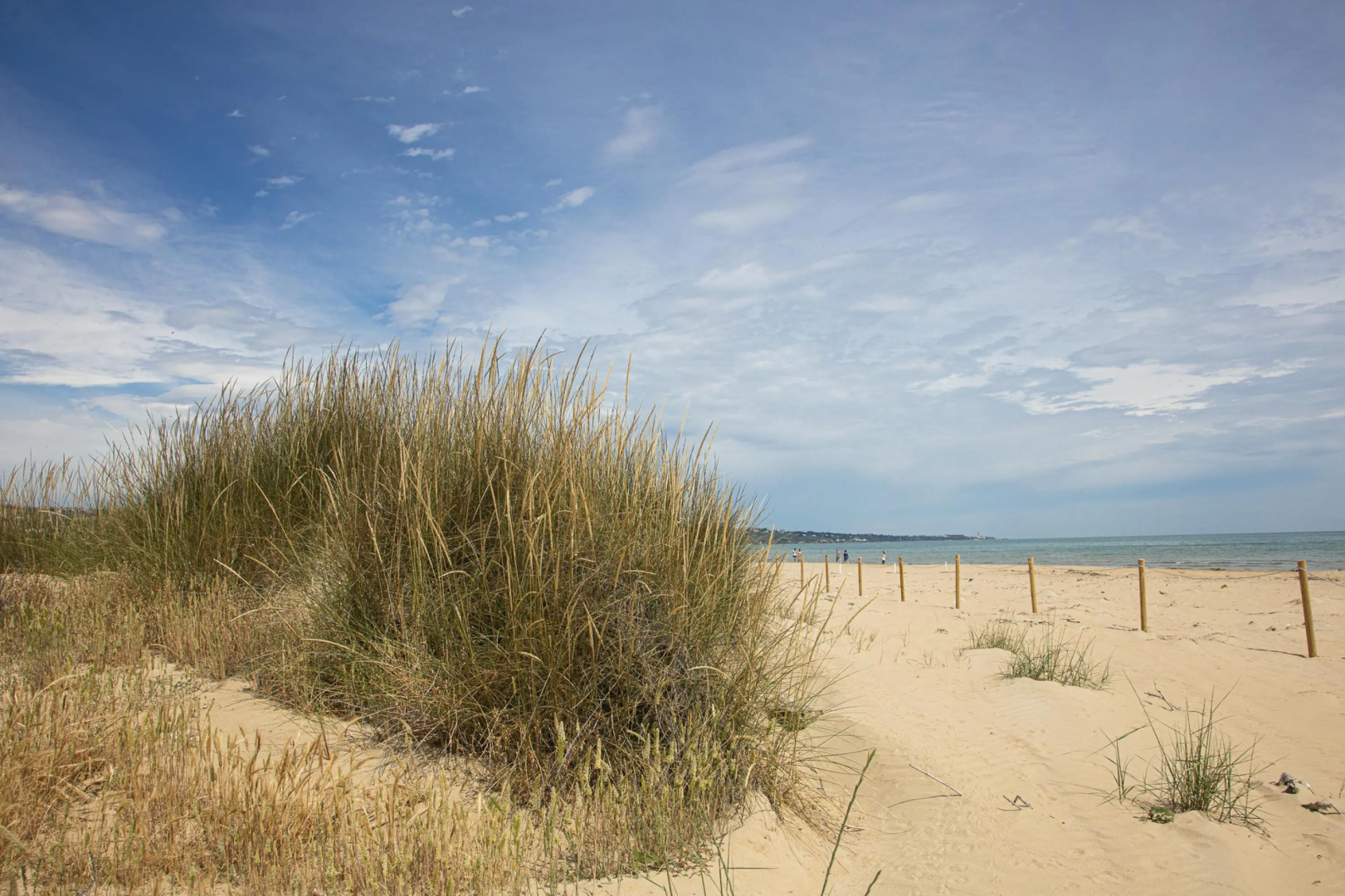 Residenza Excelsior 705