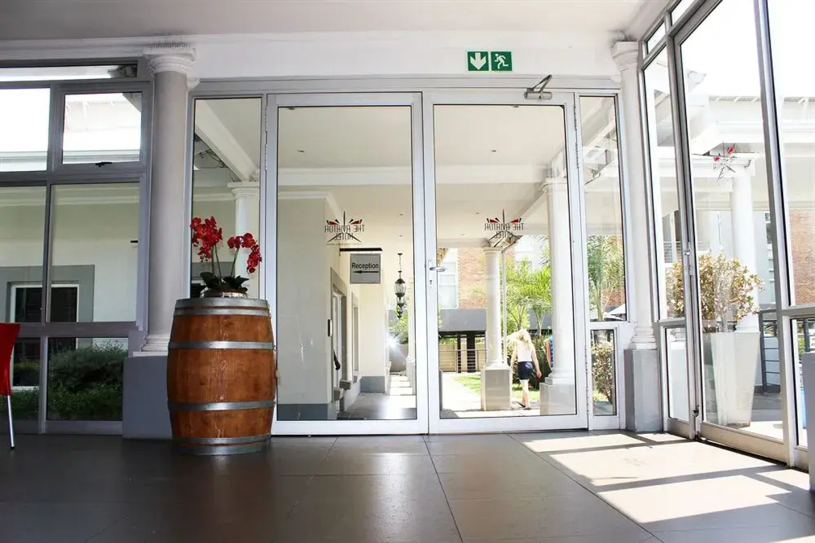 The Aviator OR Tambo