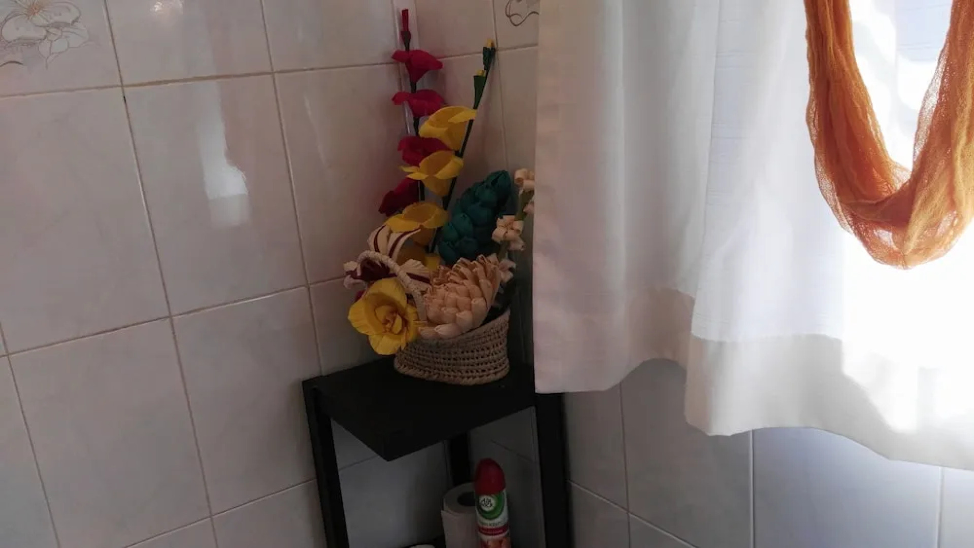 Lia Ajijic - Lakeside B&B