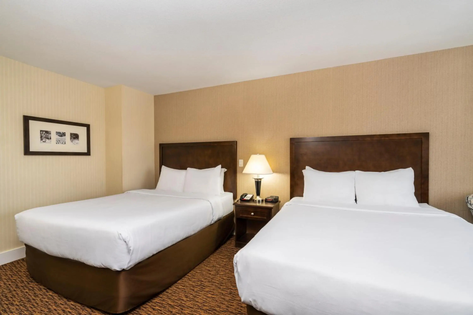 Comfort Inn Surrey Hotel