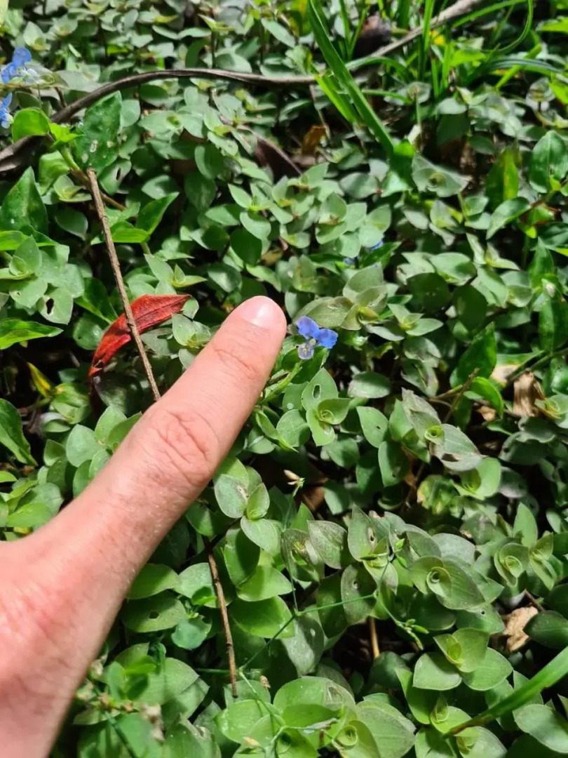 Sossego e aconchego ao lado do INHOTIM