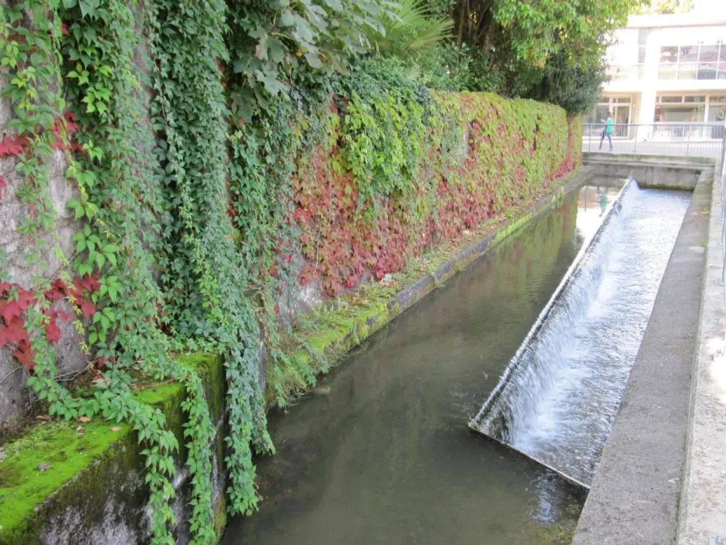 Domus Parva Pax Magna