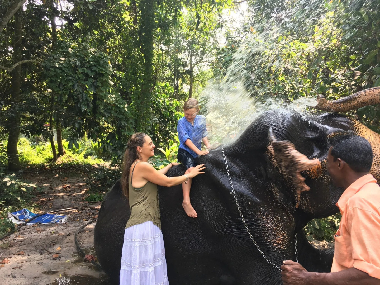 Reds Residency - Homestay