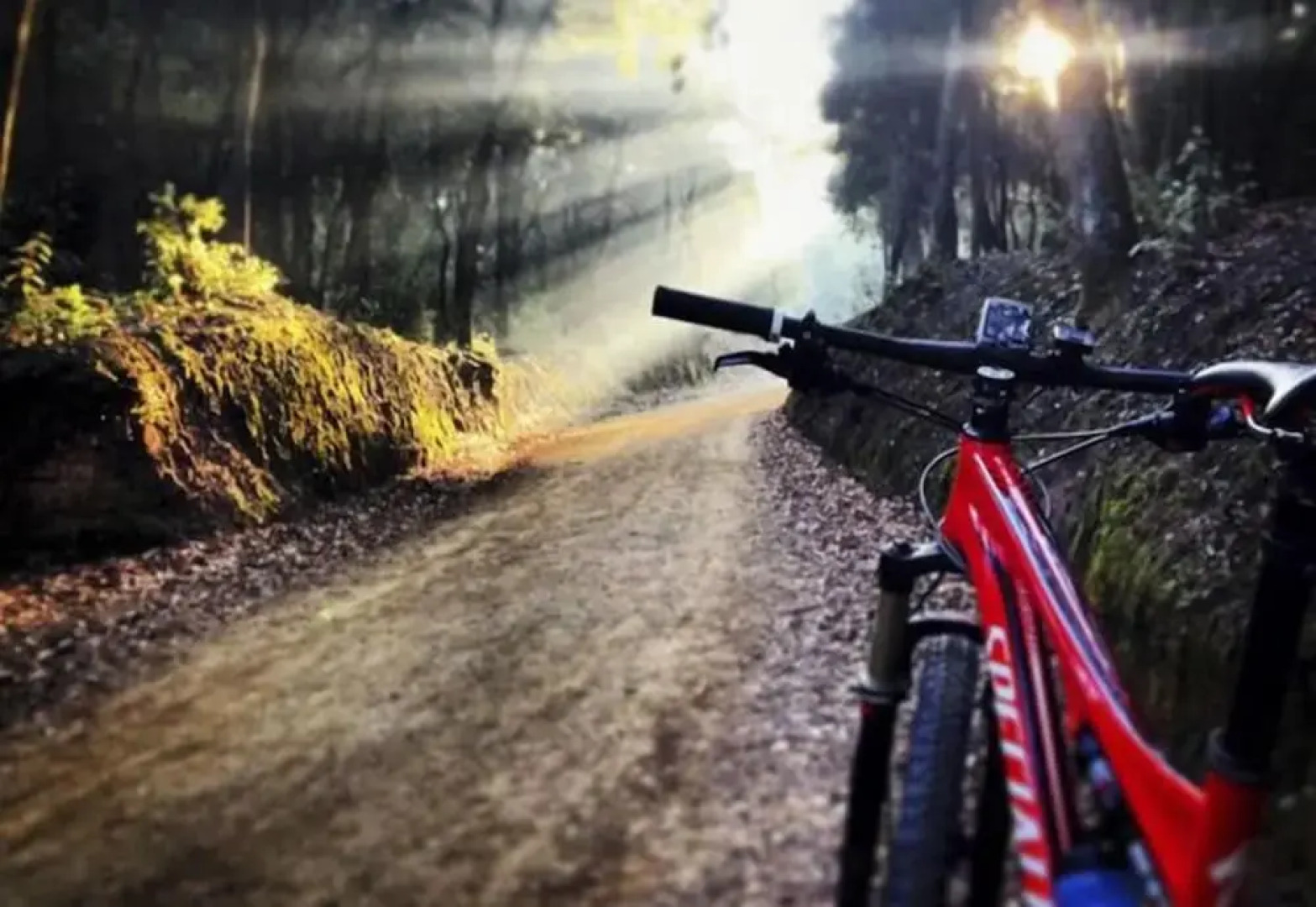 Alojamientos Estrella Rural