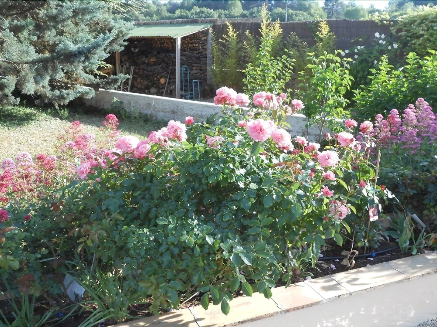 Les Nuitées de Philine