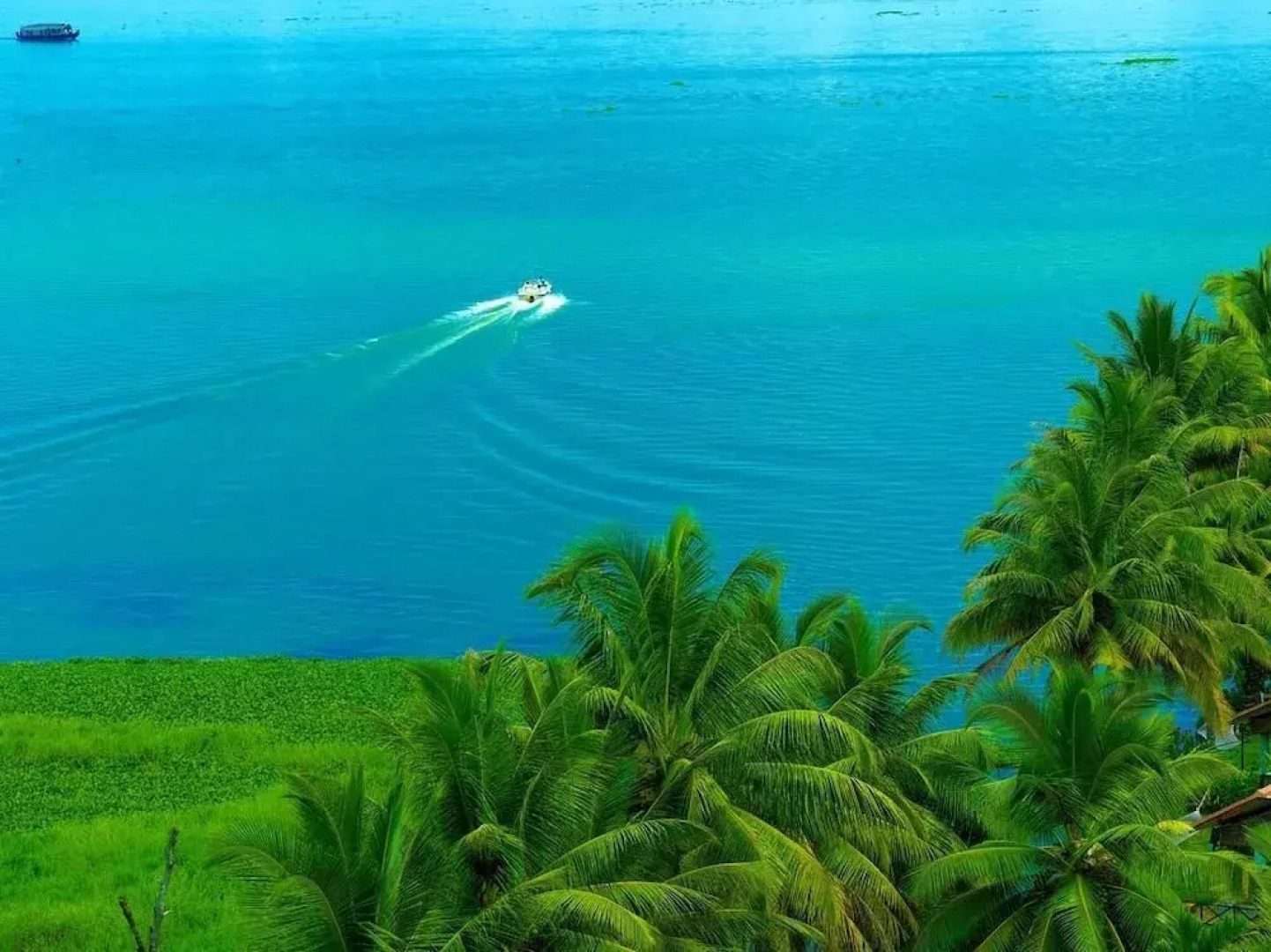 Backwater Ripples Kottayam