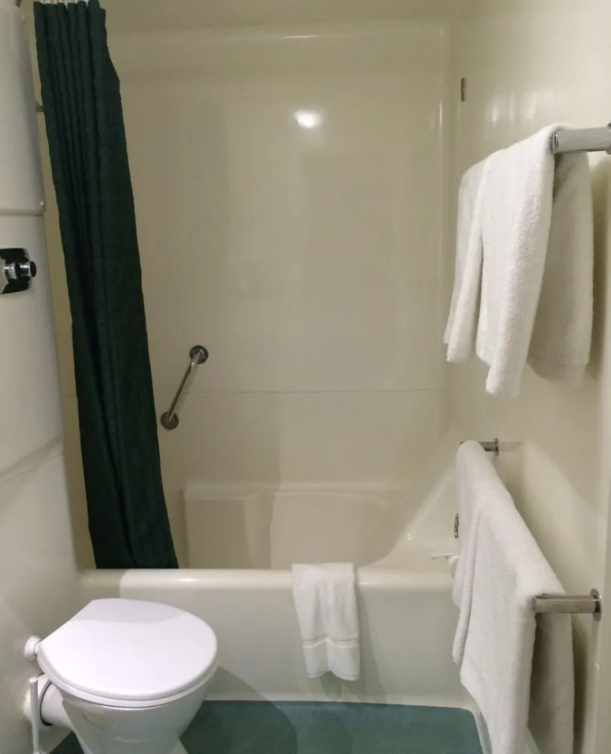 Alice In The Territory