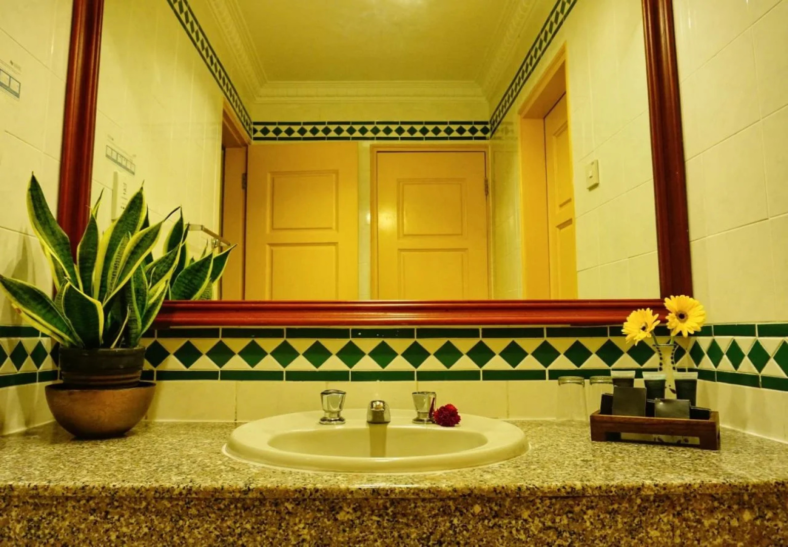 Leisure Cove Hotel & Apartments