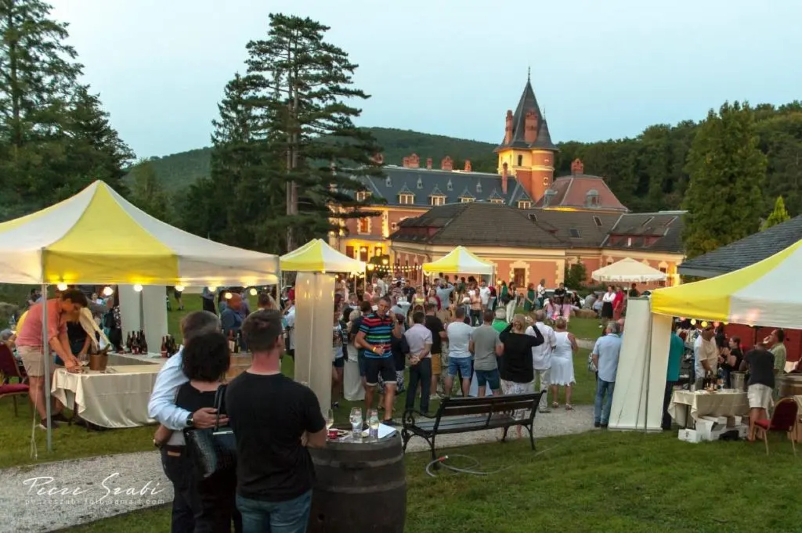 Отель Kastélyhotel Sasvár