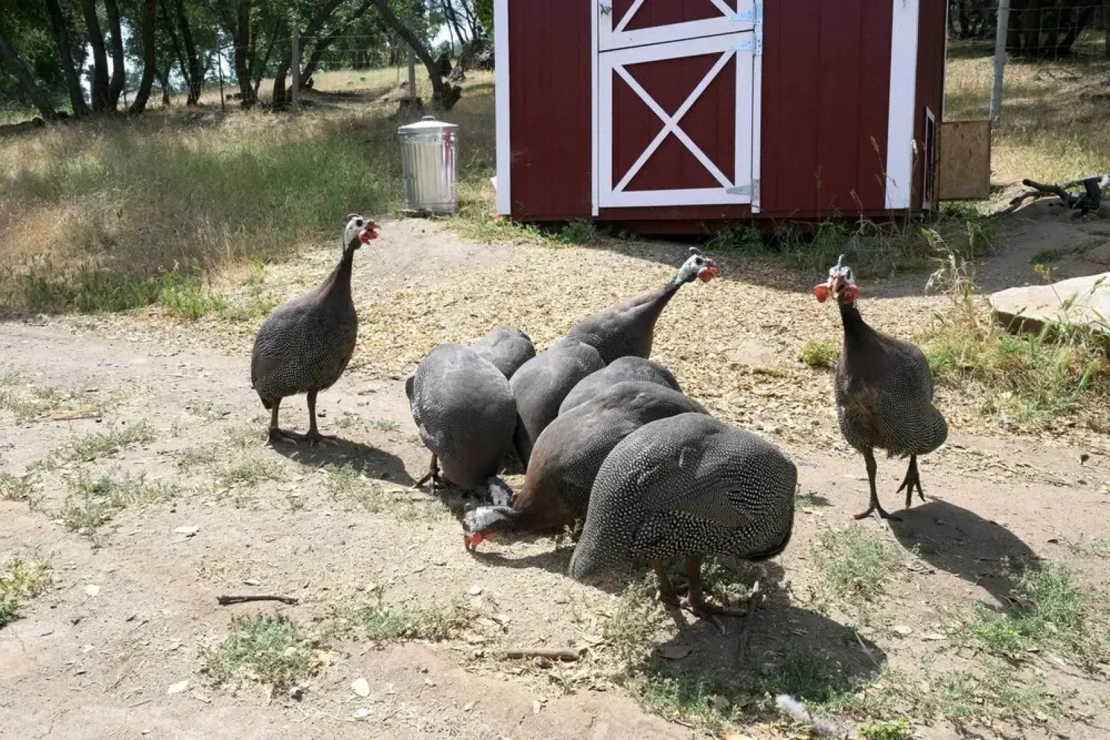 Adventure Haven w/ On-site Fun: Near Sequoia!