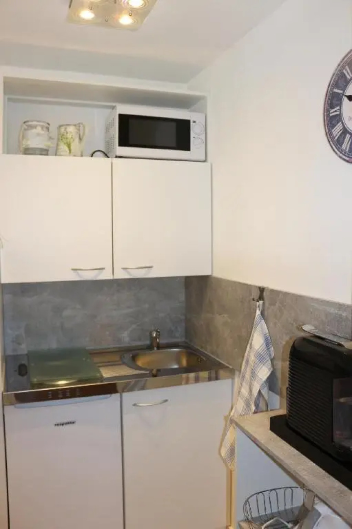 Rosenalm Scheidegg Apartment 256