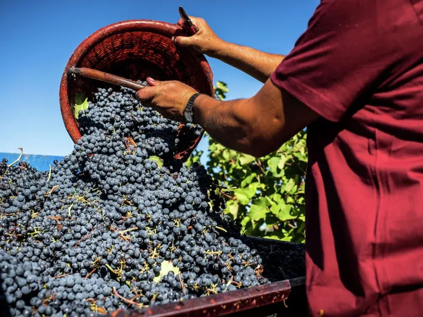 Nifty Apartment in S. Maria Della Versa With Pool