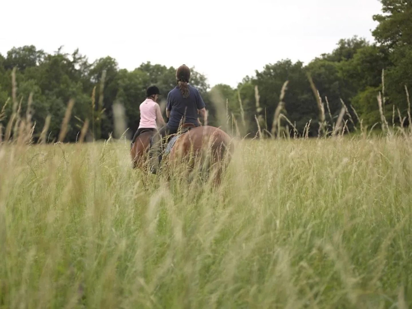 Lucknam Park Hotel & Spa