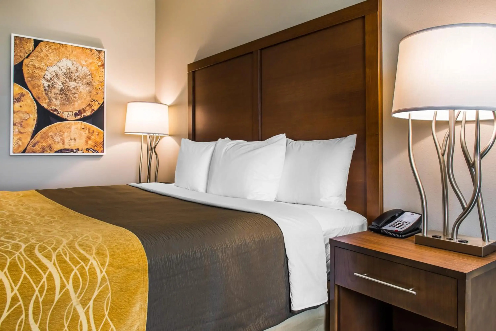 Comfort Inn & Suites Valdosta I-75