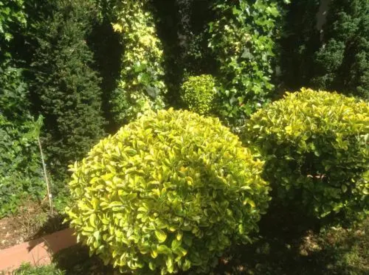 Guesthouse Aotearoa Premantura