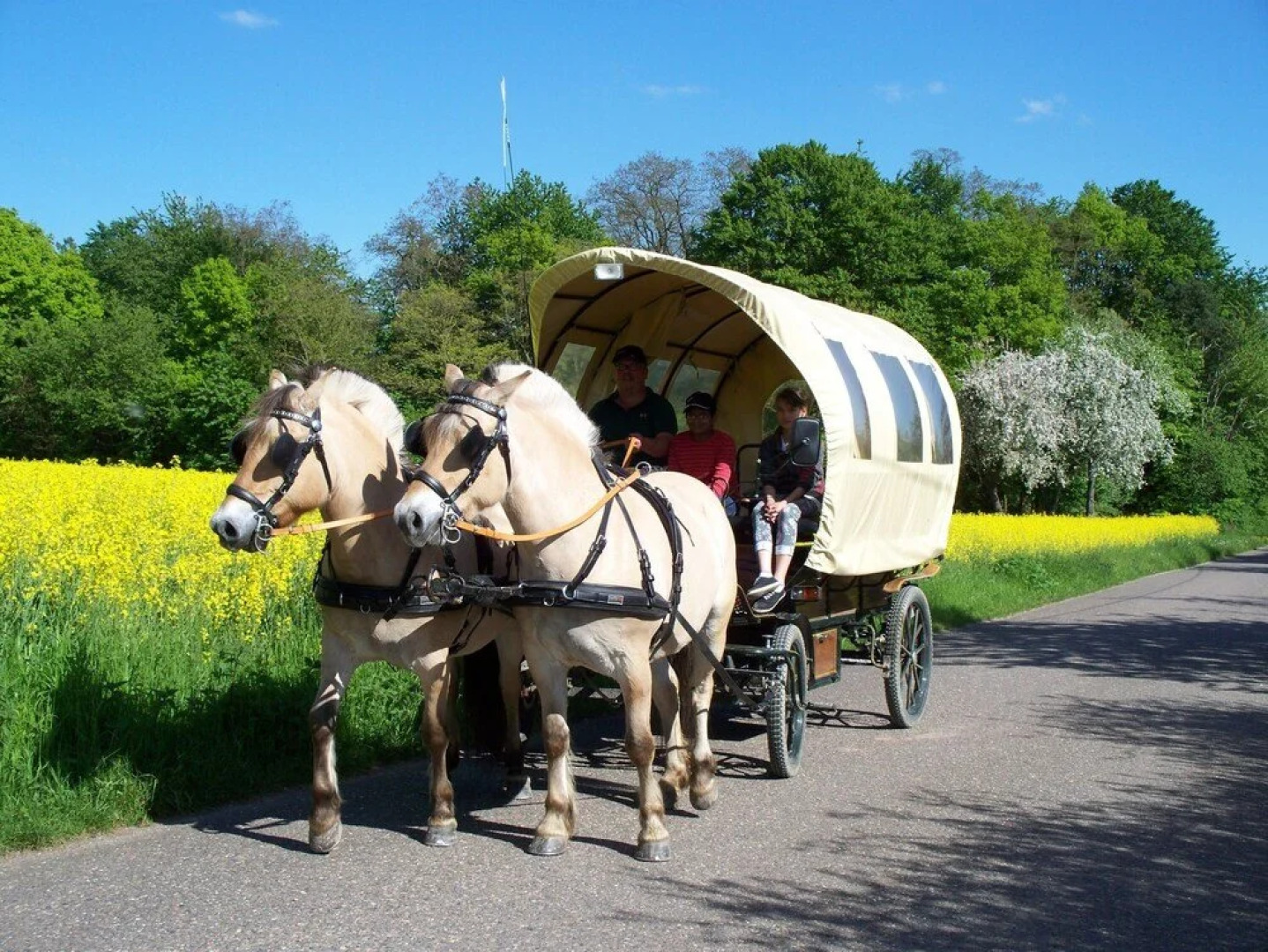 Gasthof Stern Rauenberg