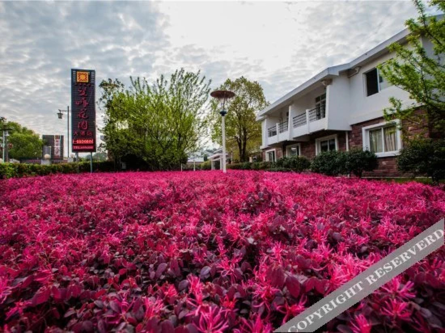 Wangfeng Gaden Hotel