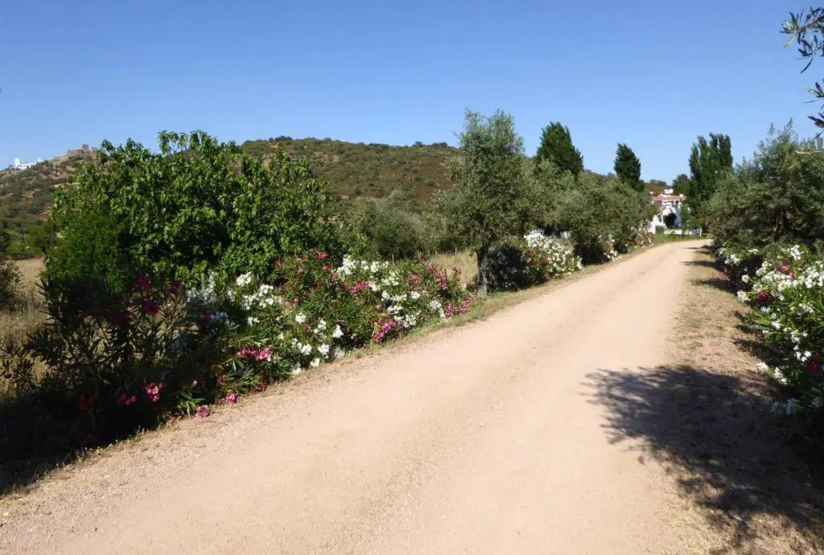 Monte do Laranjal