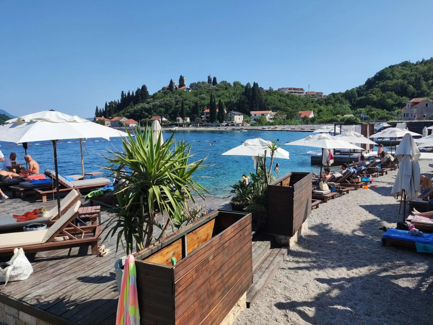 Montenegro Colors