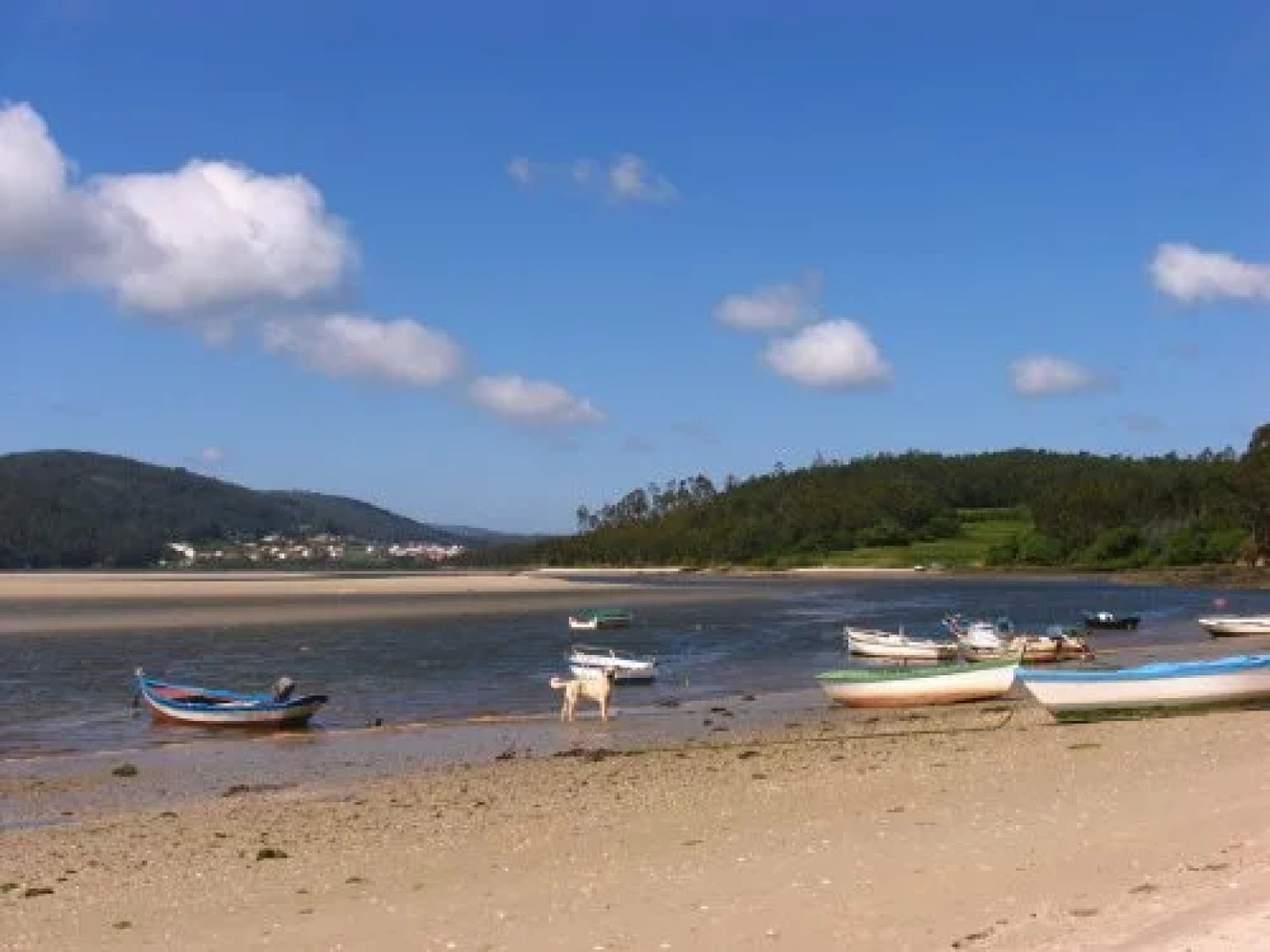 Hotel Urban Monte Blanco by Eurotels