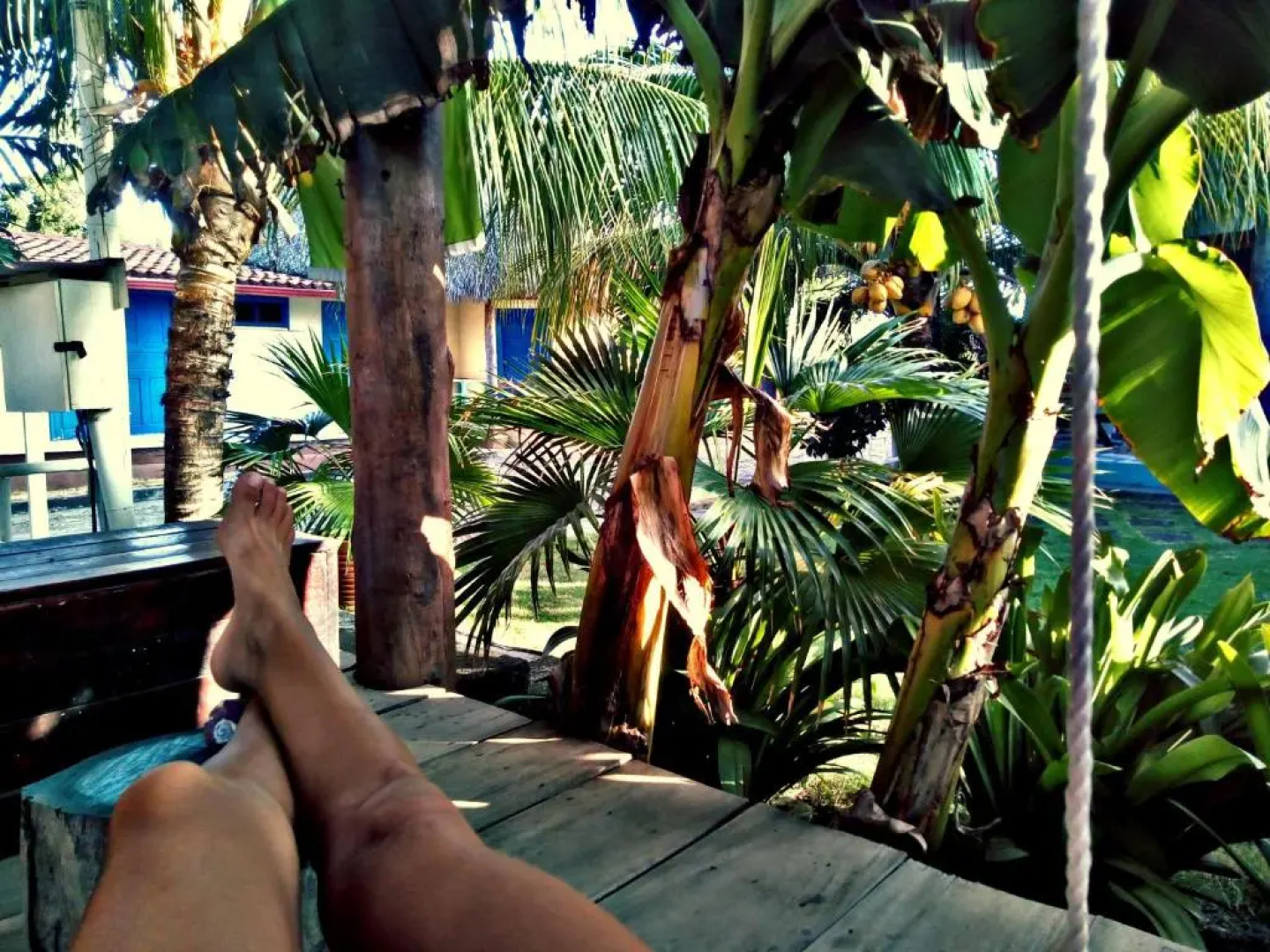 Nayal Lodge