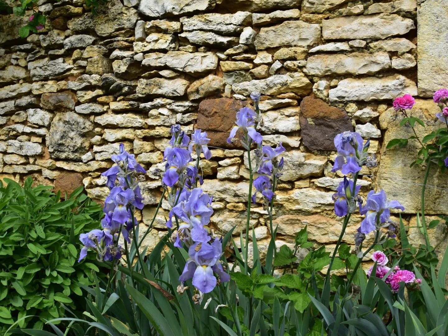 Rurally Located Holiday Home With Magnificent View, Close to Cazals