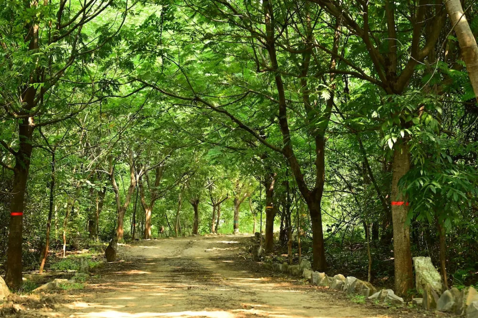 Tigers Heaven Resort