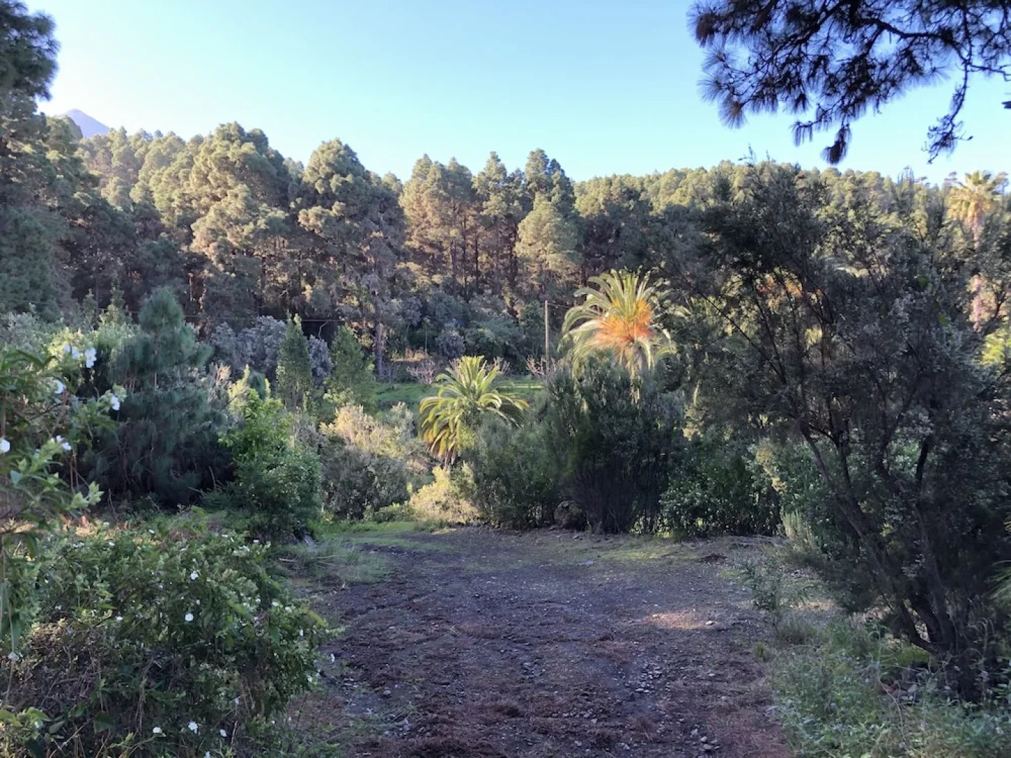 Casa Rural Monte Frío de Tenerife