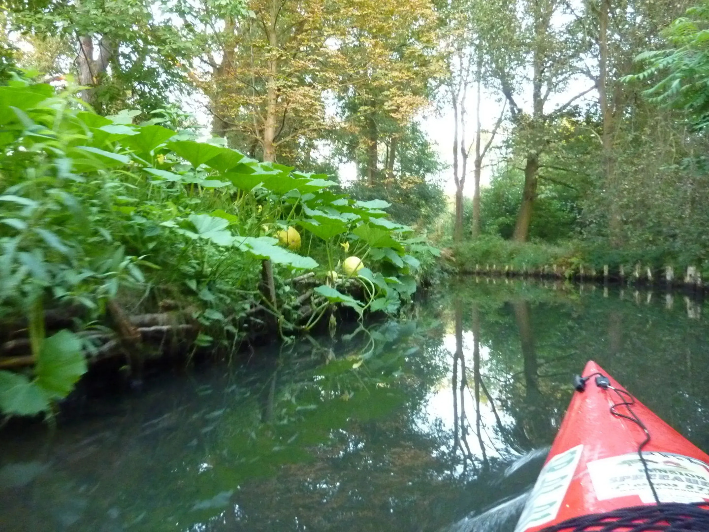 Spreewald - Pension Spreeaue