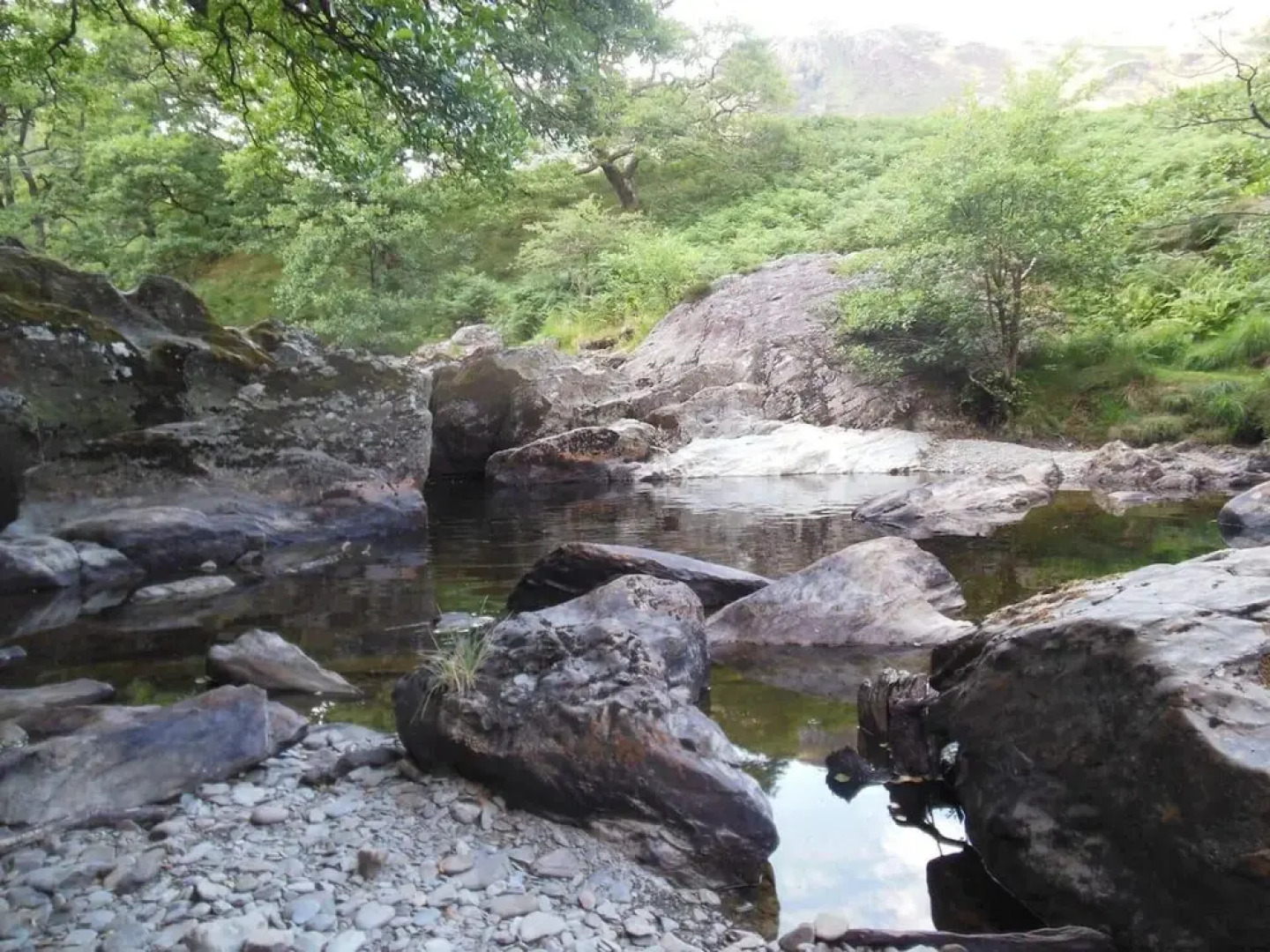 Relaxing pet Friendly 2-bed Cottage in Rhandirmwyn