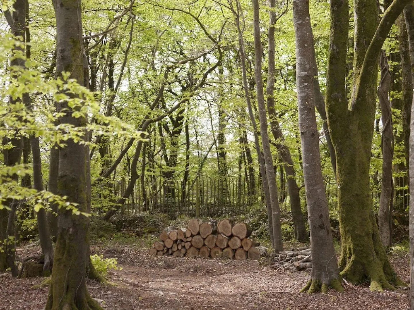 Clonganny House - Adults Only