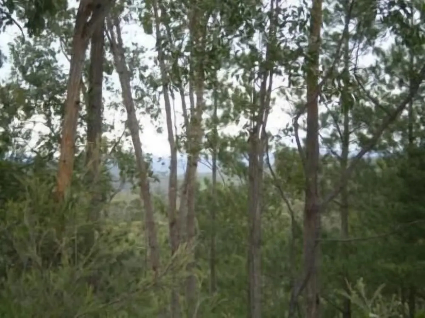 Shanti Relaxation Retreat