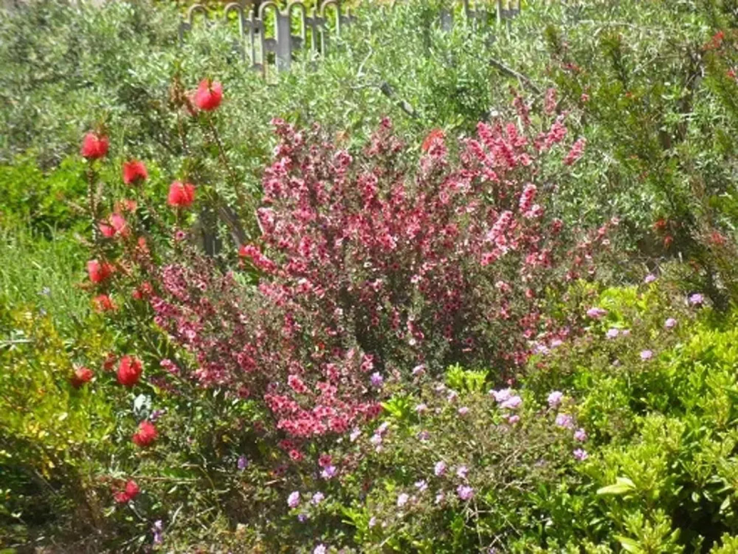 Villa With 4 Bedrooms in Chia, With Wonderful sea View, Furnished Garden and Wifi - 800 m From the Beach