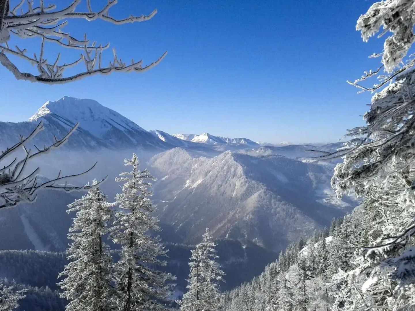 Gasthof Erlauftalerhof