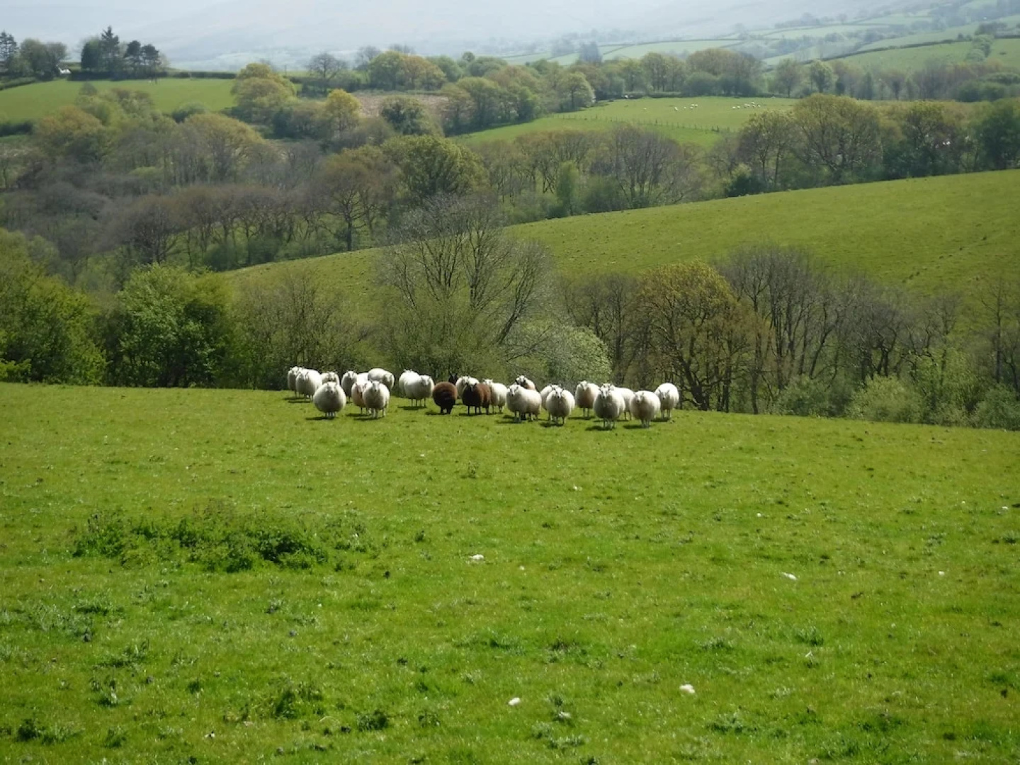 Black Mountain View Self Contained Guest Accommodation