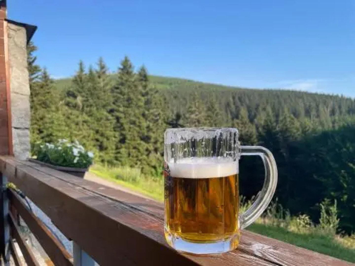 Apartman 105 Pec pod Sněžkou